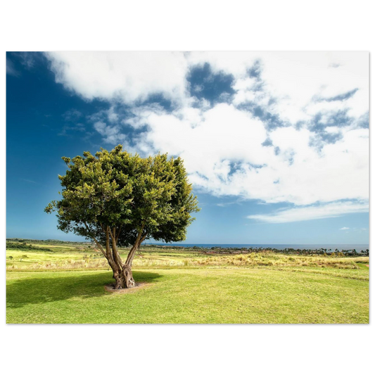 0b10d531-b274-4821-8cfa-ca5762025f3d