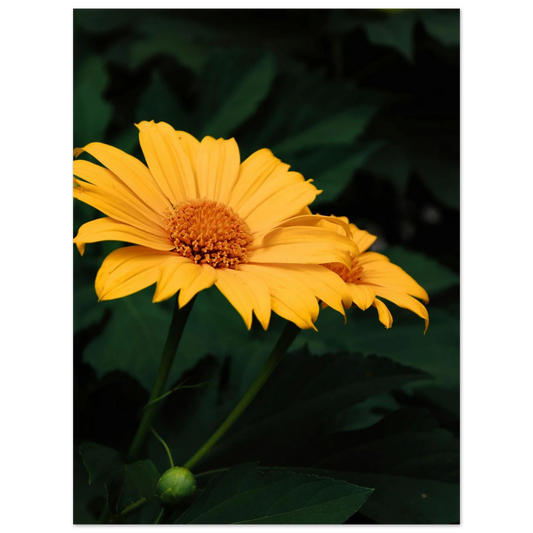 1092129b-6a08-49a2-b4fe-6a4d242dbf1c