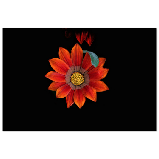 1a4765b2-c481-4c98-a3d2-734c12478a87