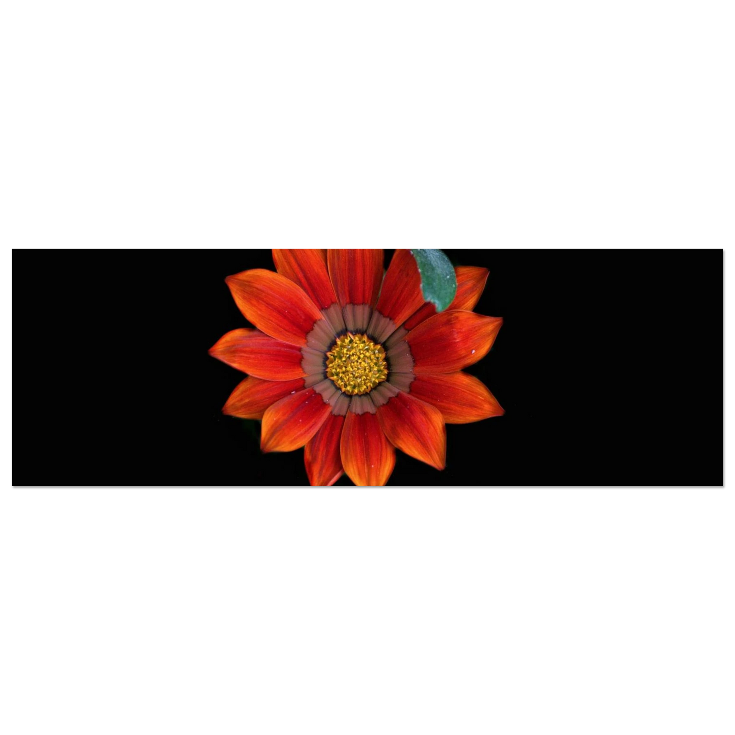 210244a1-3ae1-45e1-b427-d9edb4e3905b