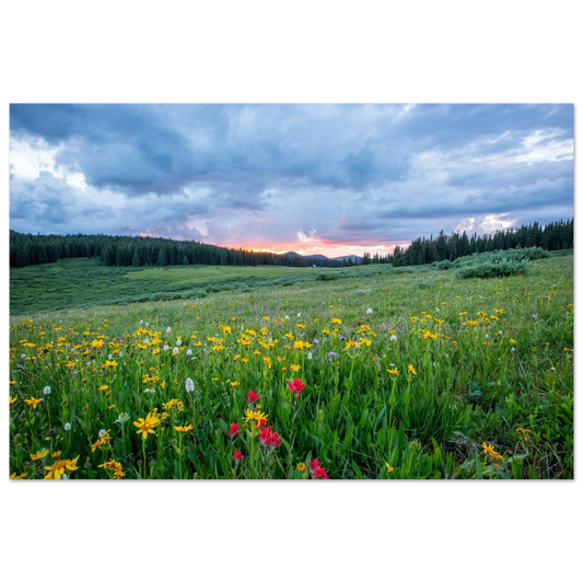 585ad7ae-fa43-4d34-9730-f209eaf51924