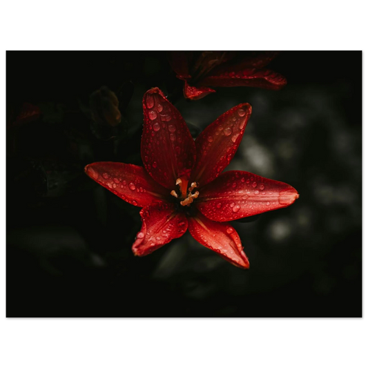 5cd564d7-69b7-4731-9389-5d631ff13ac8