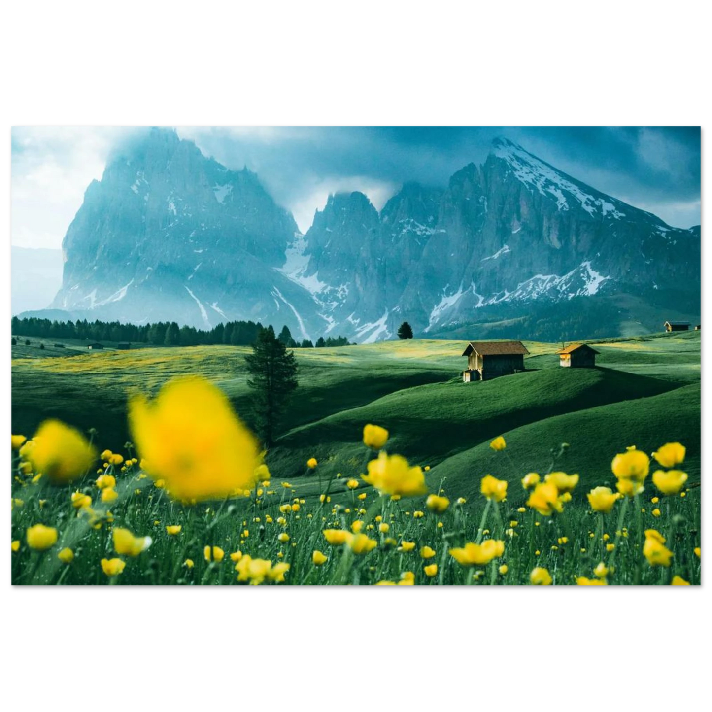 5d95ddb1-6d5e-4f71-9daa-c931b4116f75