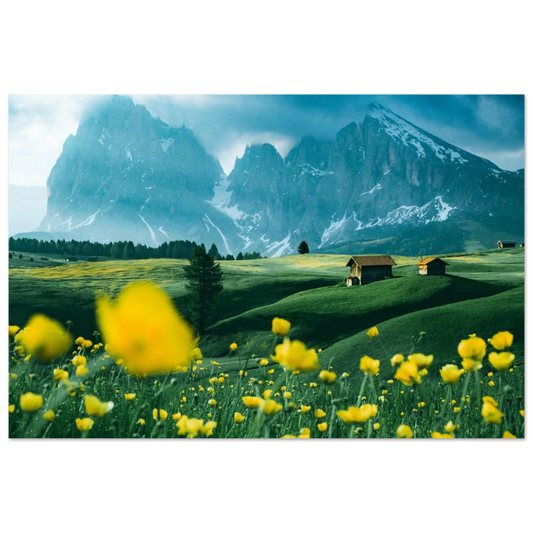 5d95ddb1-6d5e-4f71-9daa-c931b4116f75