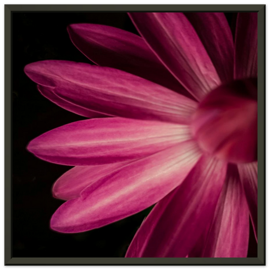 c6d70058-4e59-4d7a-9277-ada02387d949