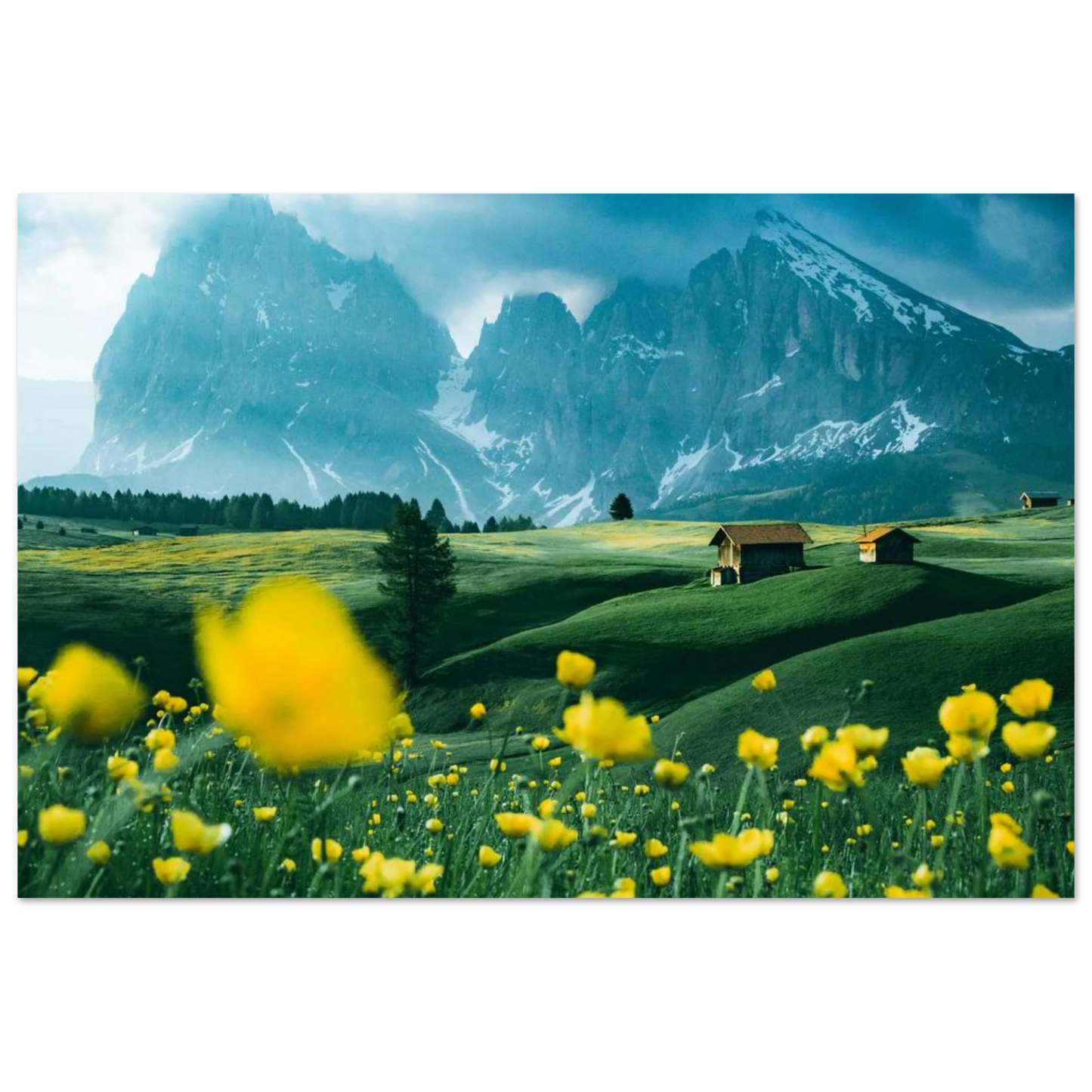 e11d3173-d758-4b83-b3c6-7429c94693ed