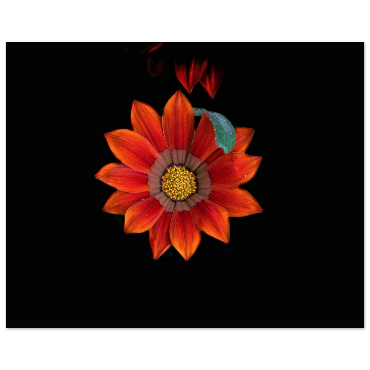 0d83c653-738a-4509-8704-e71a579ccf2a