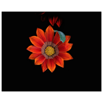 0d83c653-738a-4509-8704-e71a579ccf2a