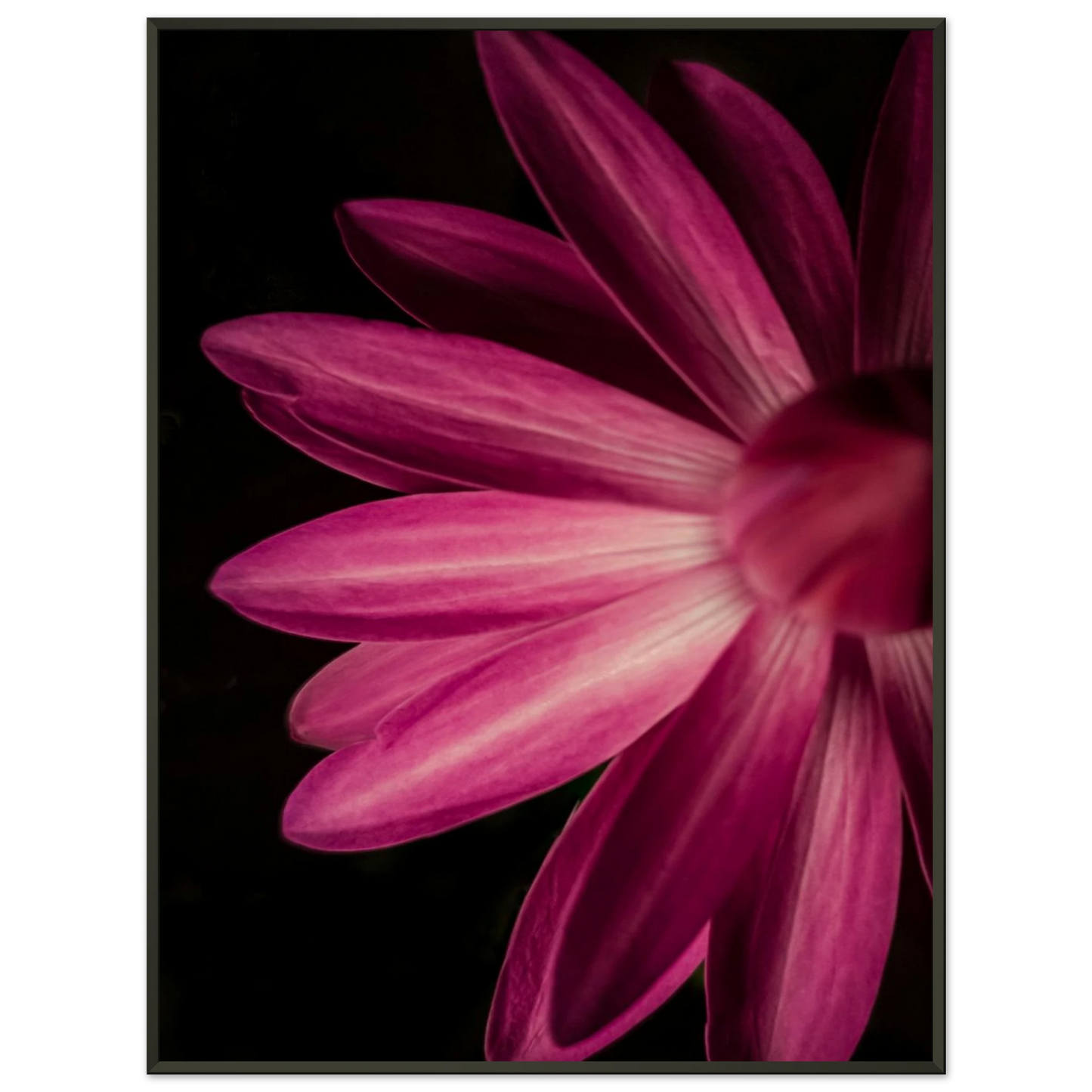 17e94355-7d3b-49d9-bf60-735939cd22d9