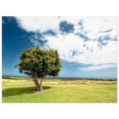 1c57970e-df24-4b7e-896a-8e099b5b9239