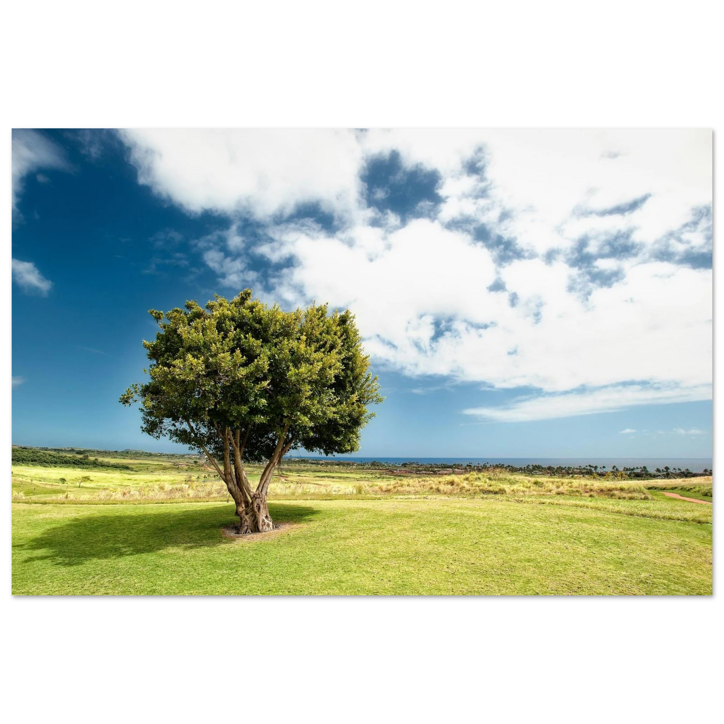 1fde8177-8ffa-4e8c-ba6d-9872ffdc625e