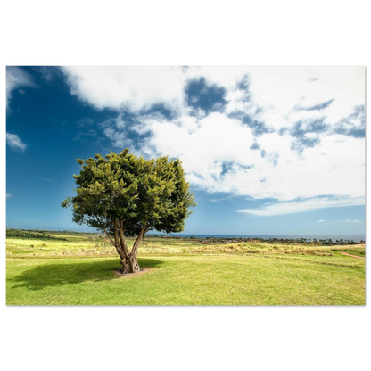 1fde8177-8ffa-4e8c-ba6d-9872ffdc625e
