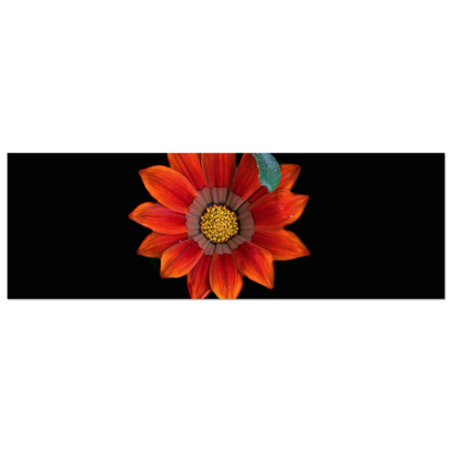 210244a1-3ae1-45e1-b427-d9edb4e3905b