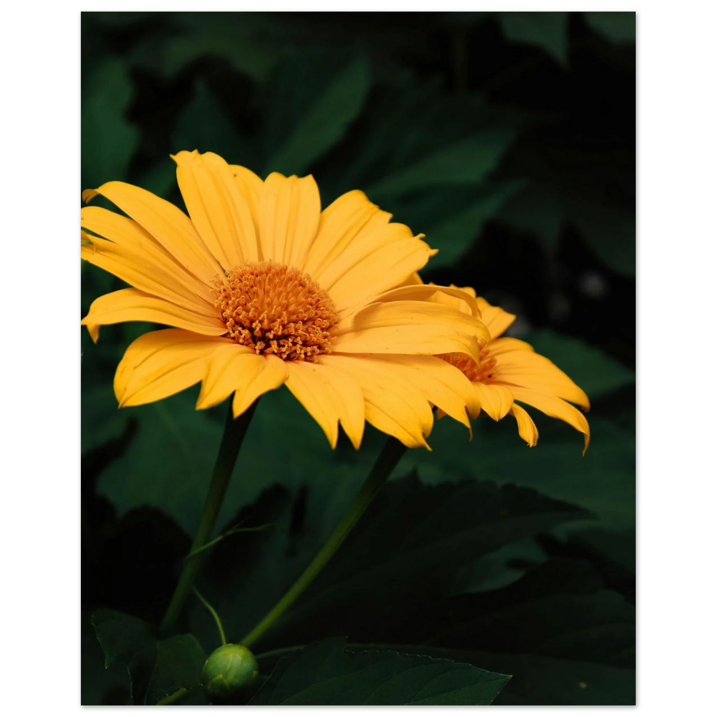 2fb93e9a-f05f-4ae6-9be3-85a3b63d7cc4