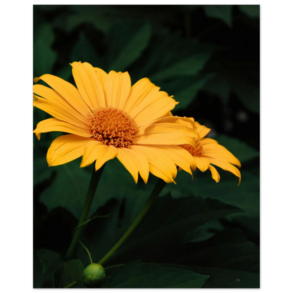 2fb93e9a-f05f-4ae6-9be3-85a3b63d7cc4