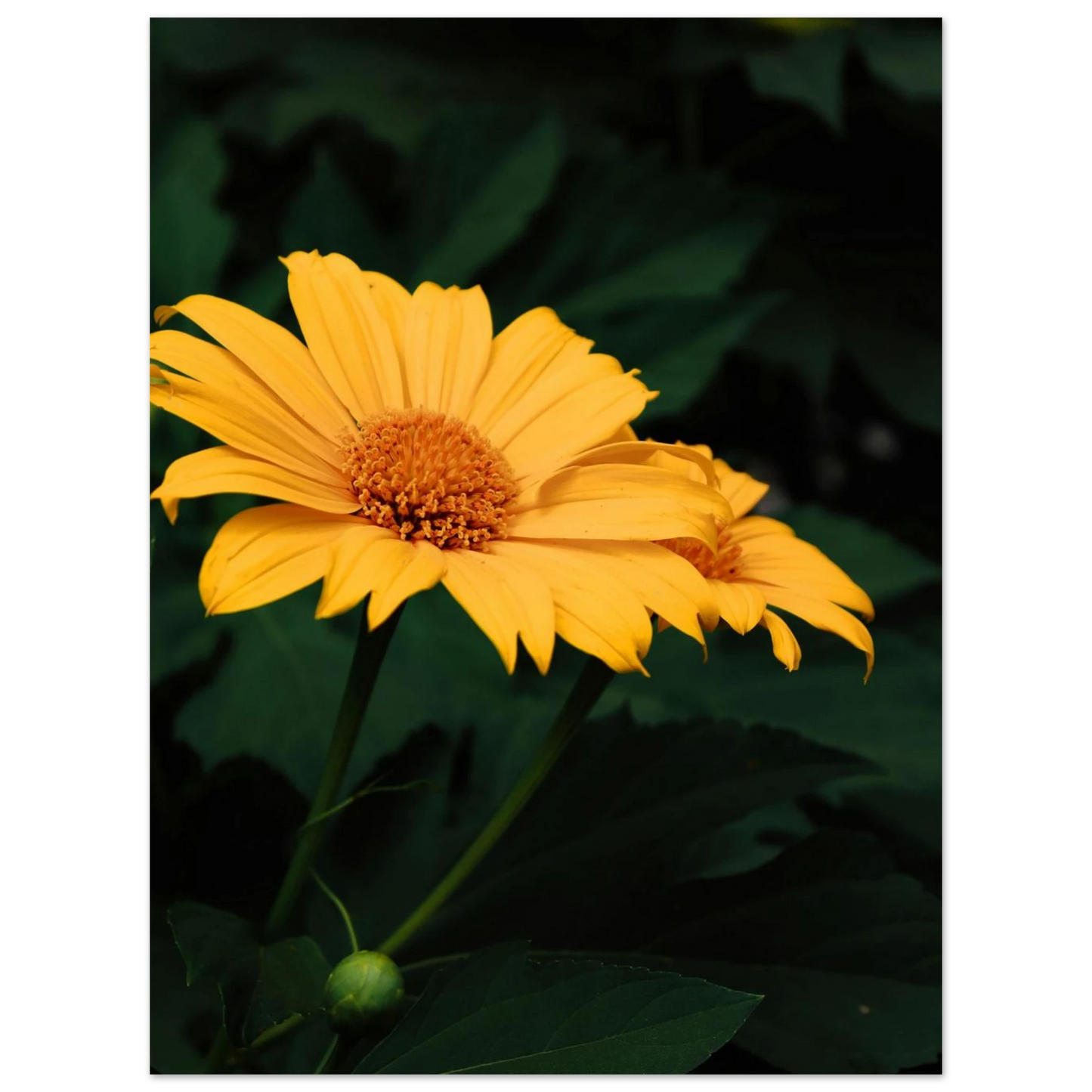 329560c1-d65e-4547-be18-9a296f15a72f