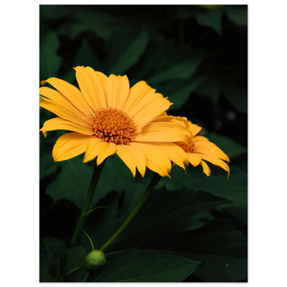 329560c1-d65e-4547-be18-9a296f15a72f