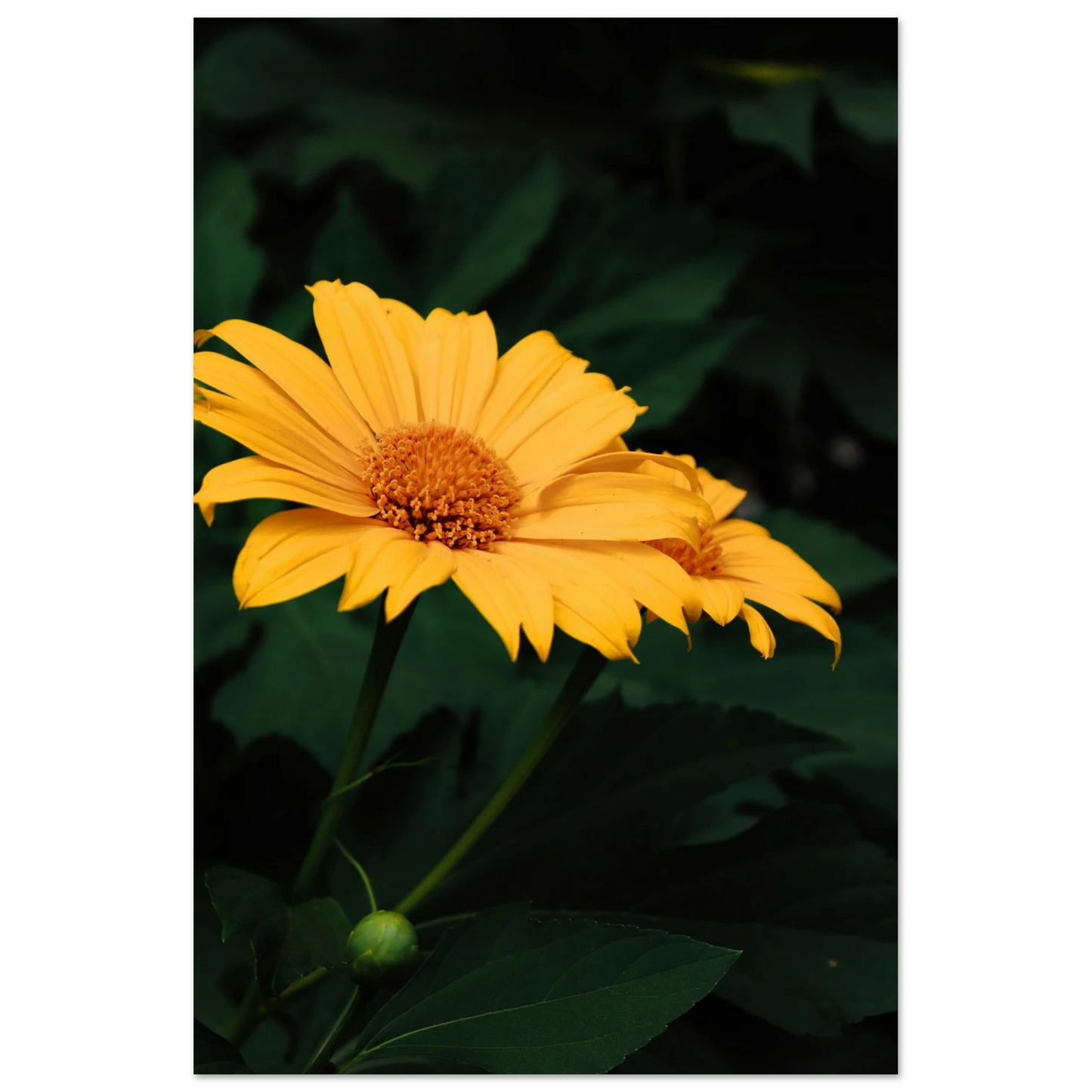 4c8fe670-c391-4adf-bf62-719735f67ba5