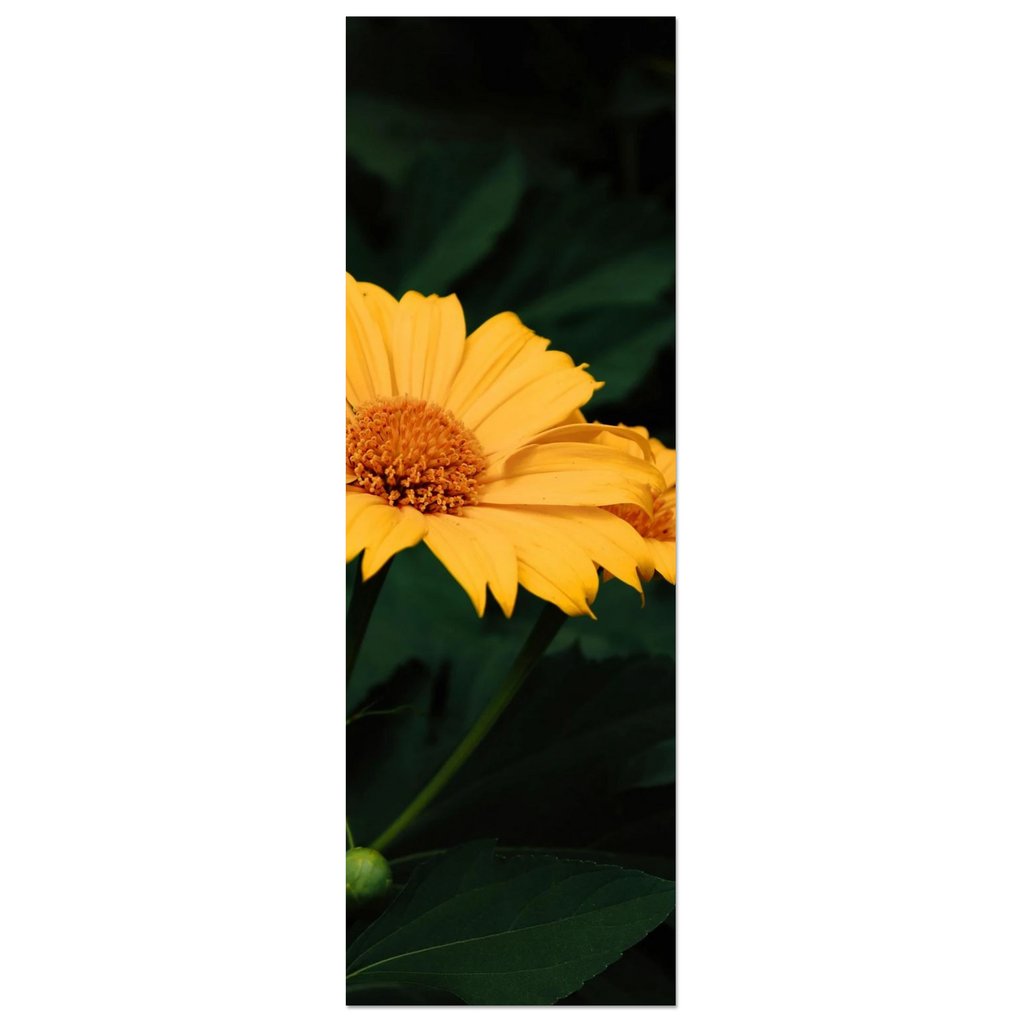 6f90bf78-8000-43f9-b75f-31c12b377779