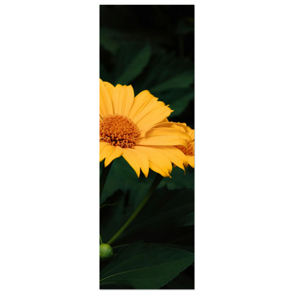 718870c5-6f78-4f33-bb51-4174572fe7de