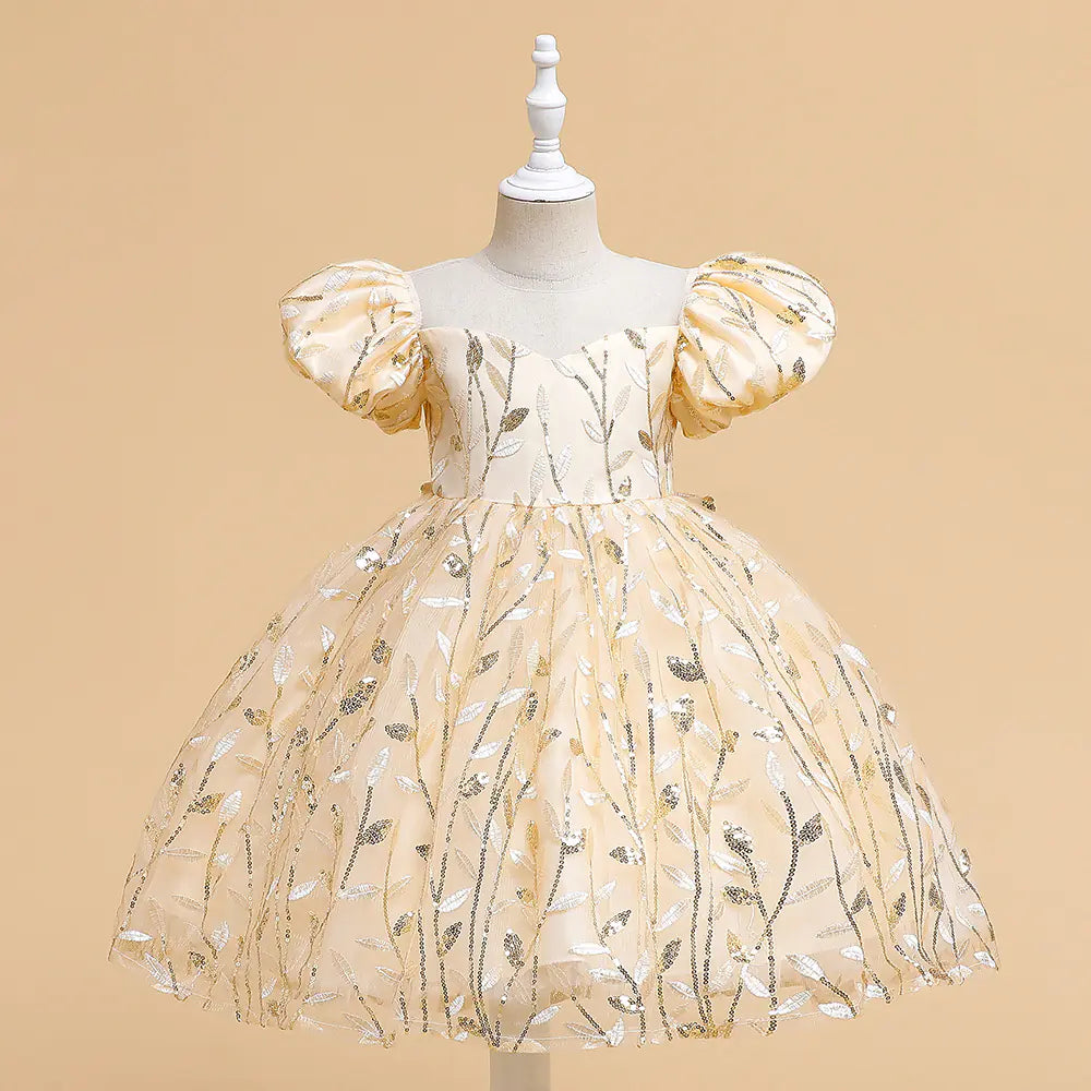 Embroidered Puff Sleeve Princess Dress for Girls