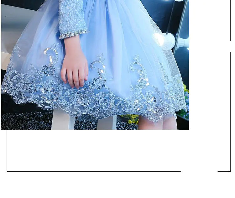 Long Sleeve Lace Princess Dress for Kids (Flower Girl) 110cm to 150cm