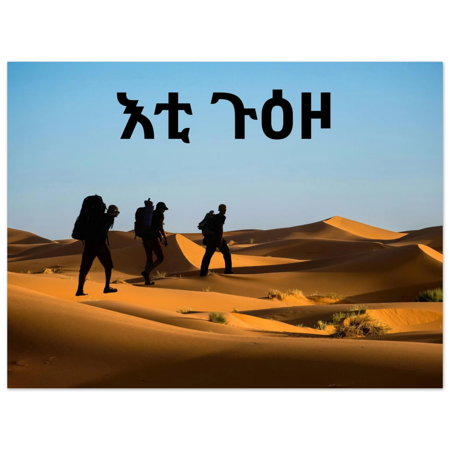 9a73b0df-bdc8-4c2d-ab9e-5e47810a5288
