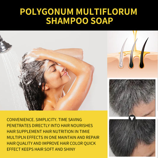 EELHOE Black Shampoo Essence für nährendes Haar