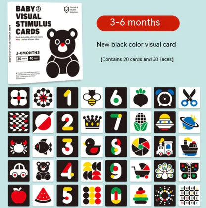 Early Education Visual Card - FkriTigrinya