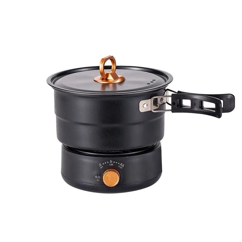 Portable Multi-Function Electric Hot Pot 220V/110V