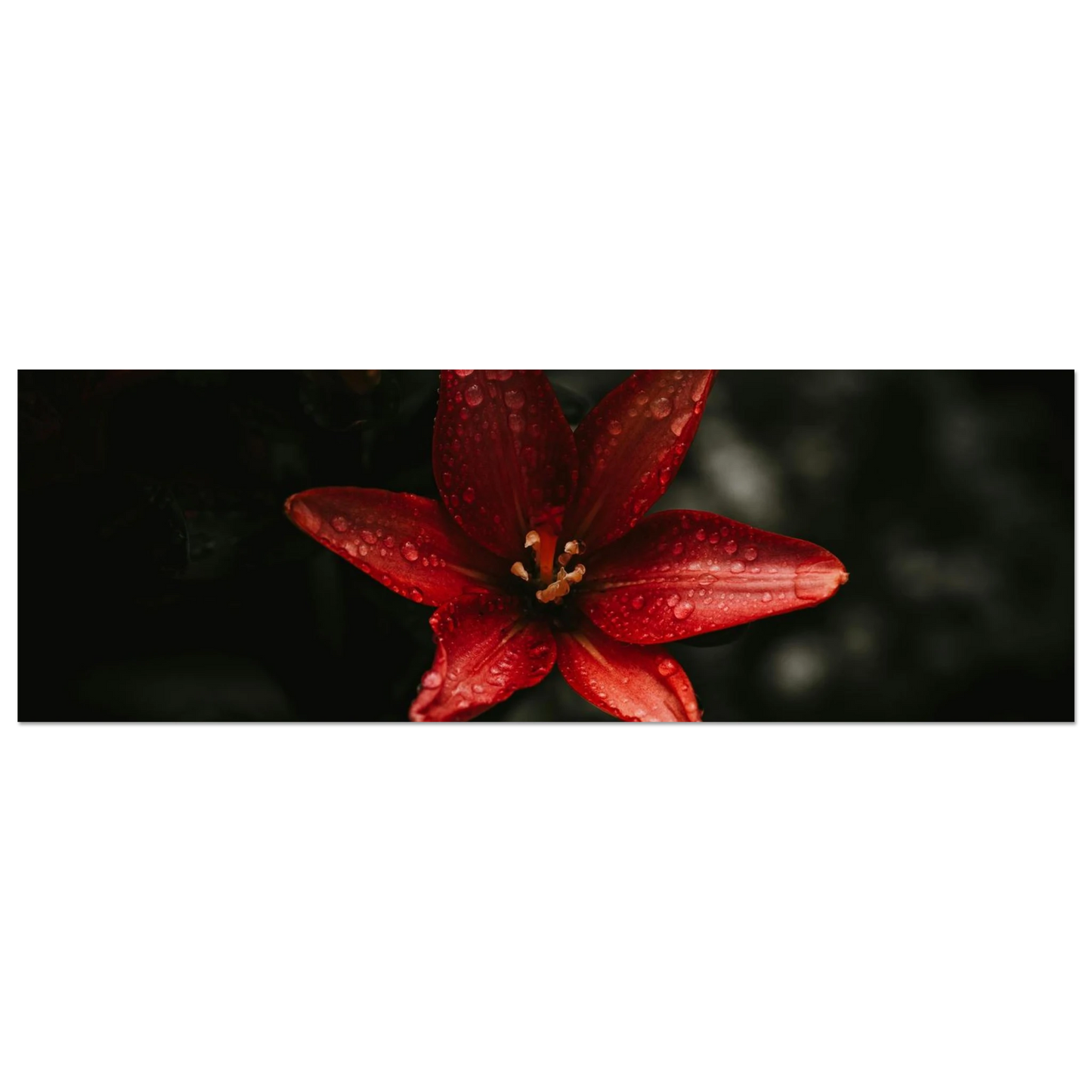 c7775528-5d61-48cb-ac87-ee9eb0404a40