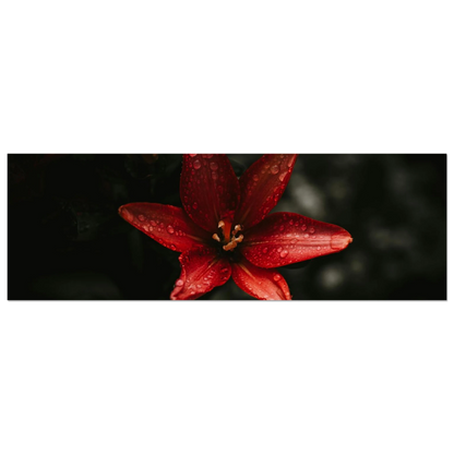 c7775528-5d61-48cb-ac87-ee9eb0404a40