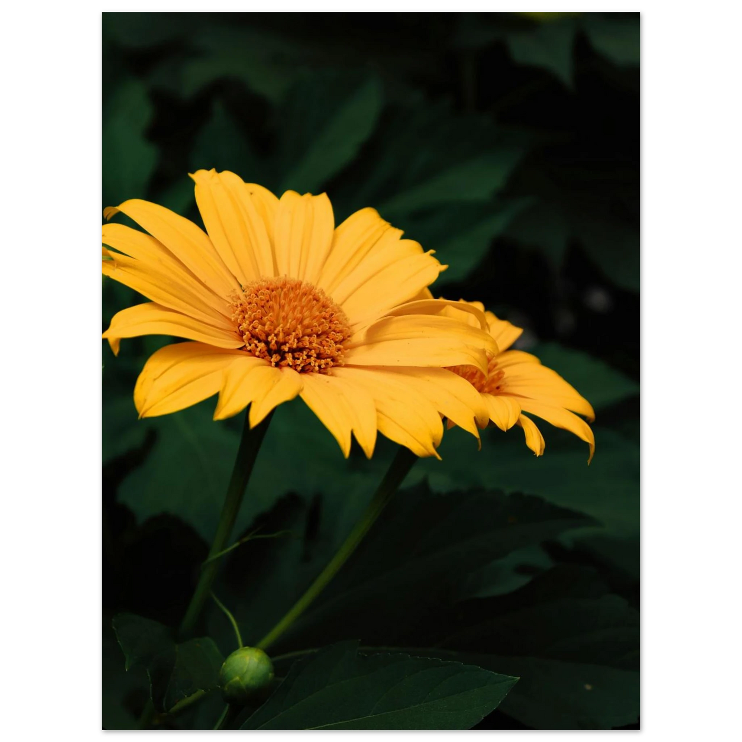 c7fb2434-38ef-4d4d-9c7b-d82423f2b524