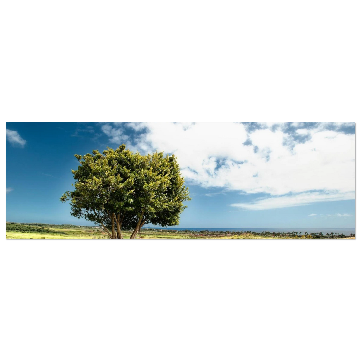 d09af94d-1f30-4ed2-b159-bfc15527eed2