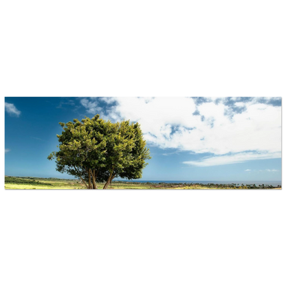 d09af94d-1f30-4ed2-b159-bfc15527eed2