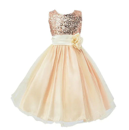 Fluffy Princess Dress Skirt for Girls in Net Yarn  sizes (from 100cm to 160cm),