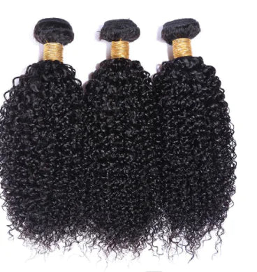 Real Human Hair Lace Front Wig – Kinky Curly Style – 100g